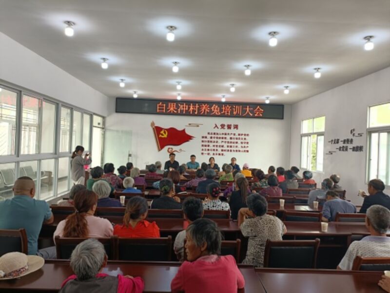 萬(wàn)企興萬(wàn)村——為幫扶村民免費(fèi)發(fā)放種兔苗